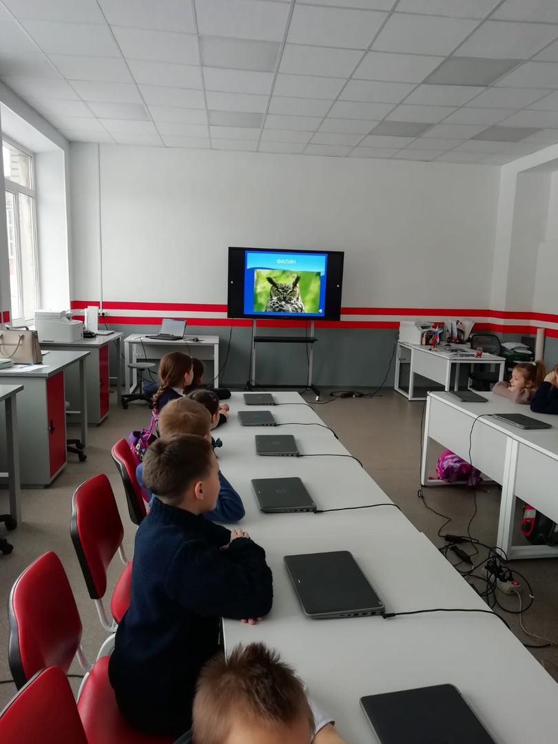 Покормите птиц зимой.